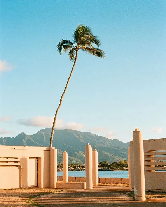Tropical Architecture Photography