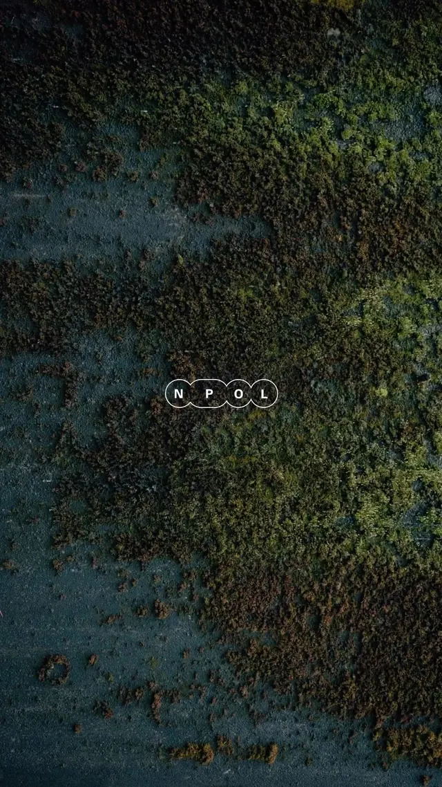 Organic Texture with Minimalist Logo