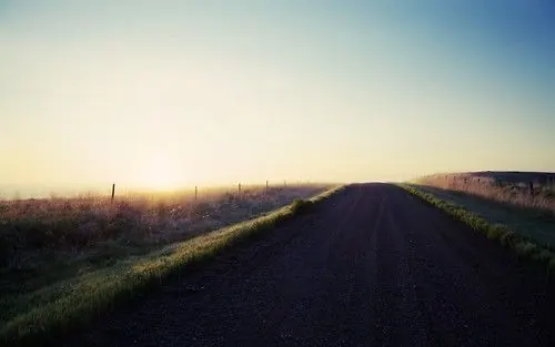 Sunlit Rural Road