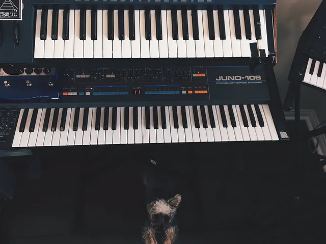 Synthesizer and Keyboard Setup