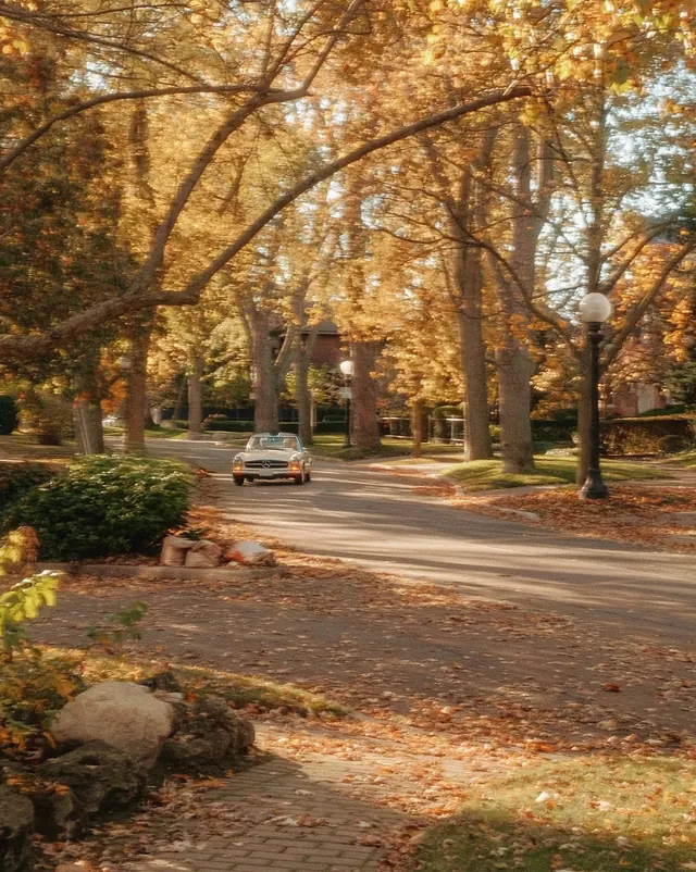 Autumnal Park Roadway