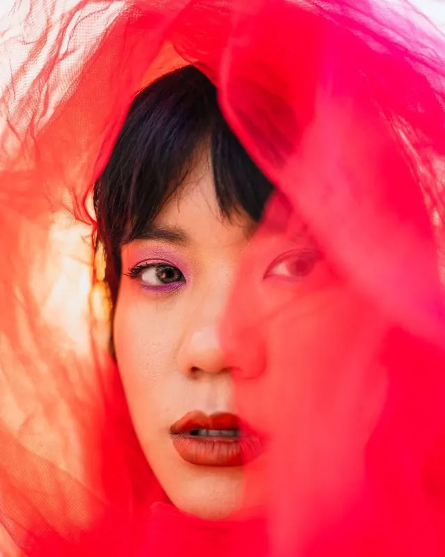Red Abstract Portrait