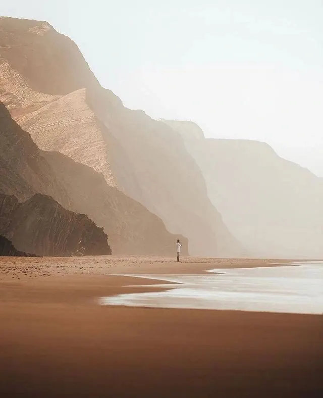 Mist-covered coastal landscape