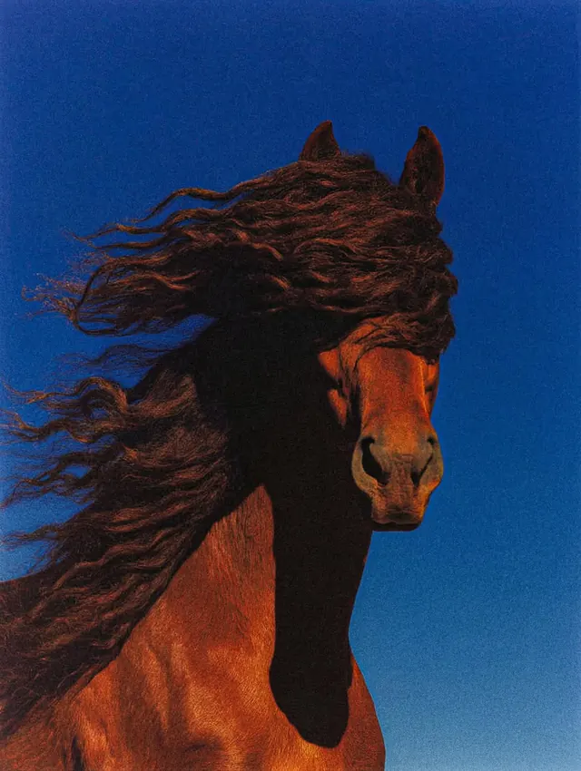 Windblown horse portrait on blue sky, photographic, editorial, vibrant