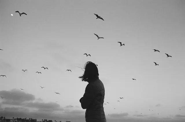 Seagulls and moon B&W coastal scene, photographic, monochrome, monochrome