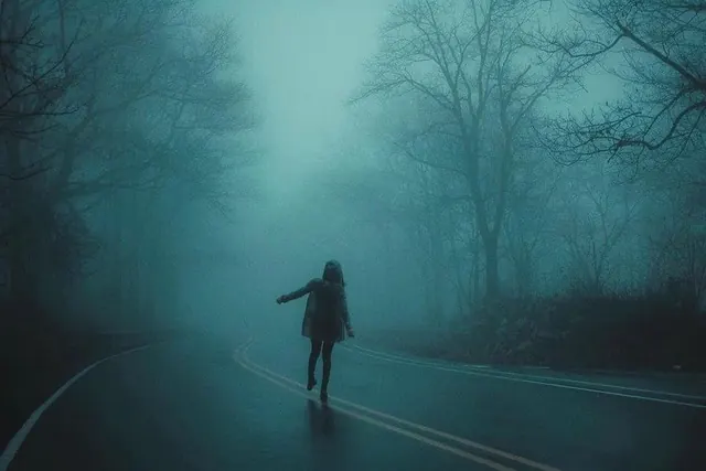 Foggy Forest Road