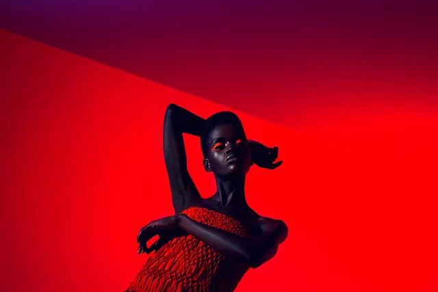 Red Silhouette Portrait
