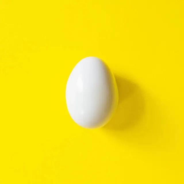 White Egg on Yellow Background