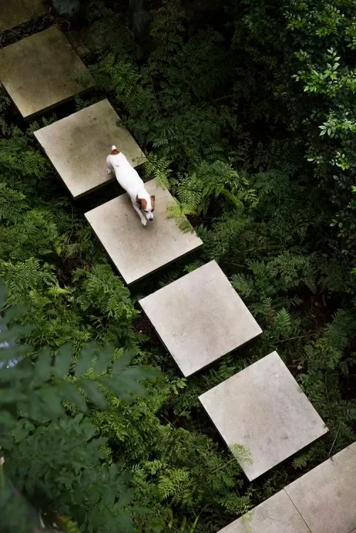 Stone Path in Lush Garden
