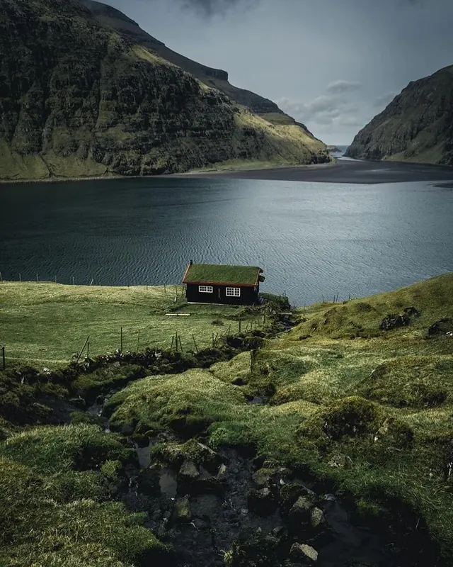 Lakeside Cabin Landscape