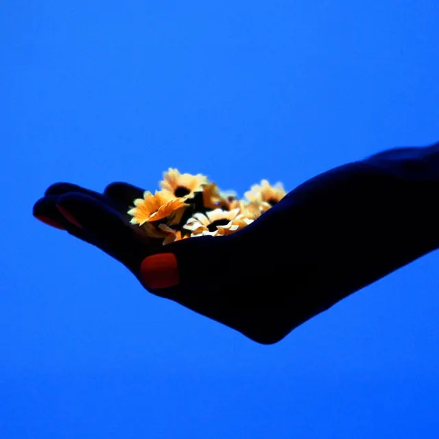 Hand Holding Flowers