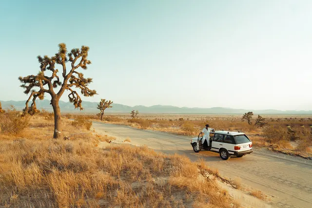 Desert Landscape with Vehicle