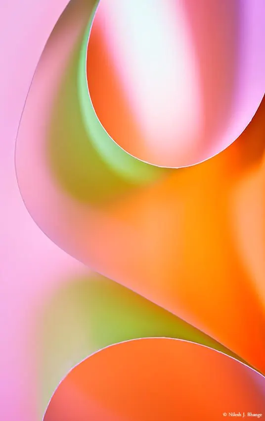 Macro abstract of curled colorful paper sheets, photographic, organic, vibrant