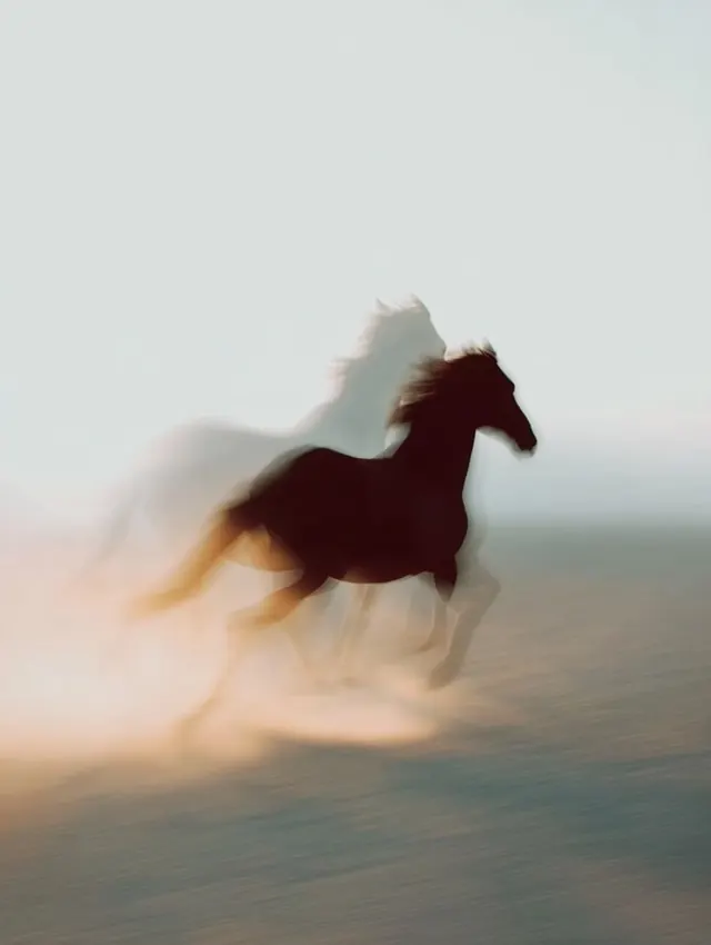 Galloping Horse in Mist