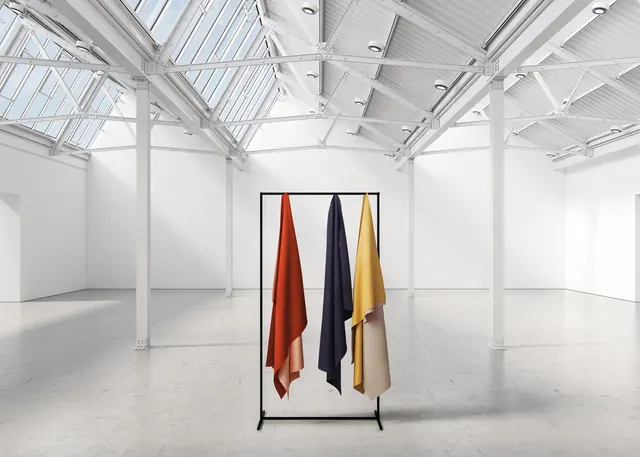 Minimalist Clothing Display
