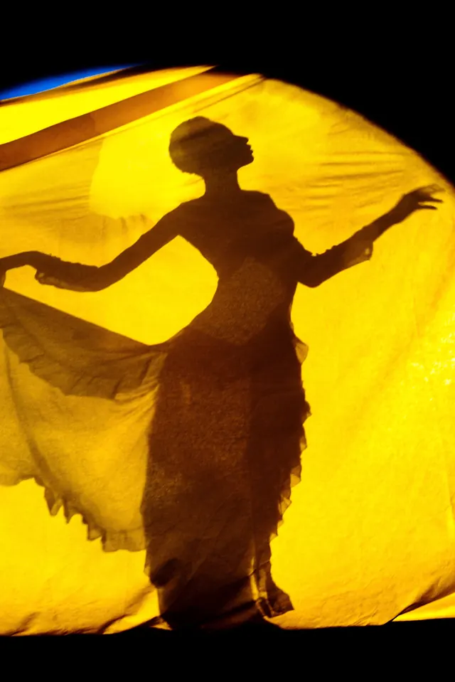 Silhouette in Yellow Fabric