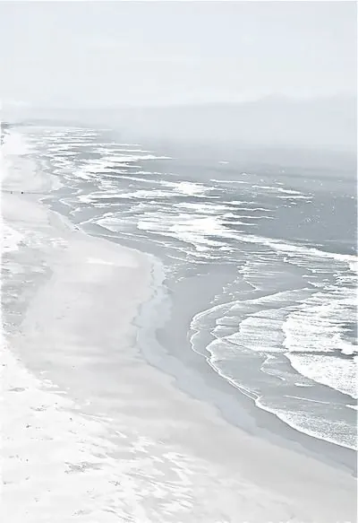 Foggy Beach Landscape