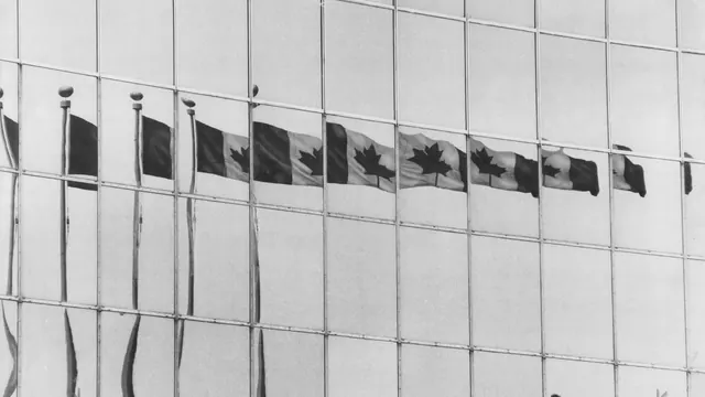 Canadian flags on gridded facade, photographic, minimal, light