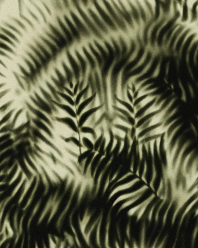 Botanical fern shadow study, photographic, organic, light
