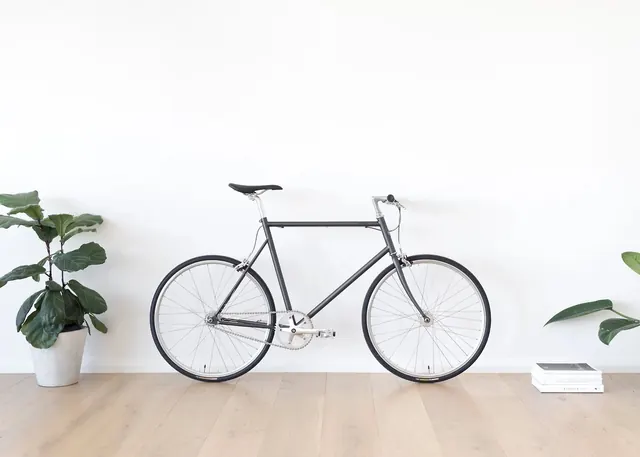 Minimalist bicycle and plant lifestyle, minimal, photographic, light