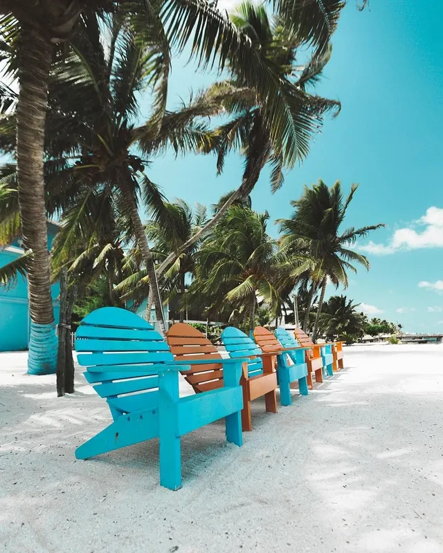 Beach scene with colorful Adirondack chairs lined along white sand and palm trees, photographic, playful, vibrant