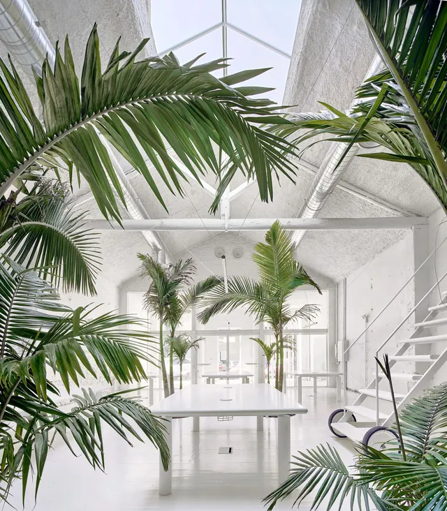 Minimalist loft interior with plants, minimal, light-mode, light