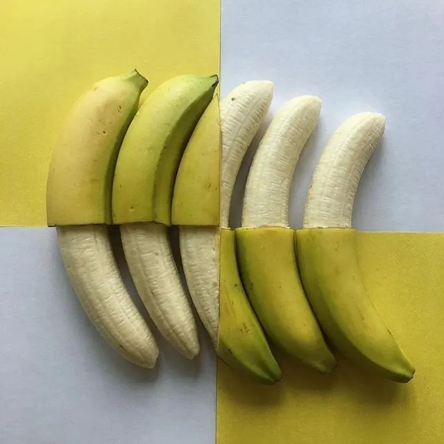Banana study with color blocking, minimal, photographic, vibrant