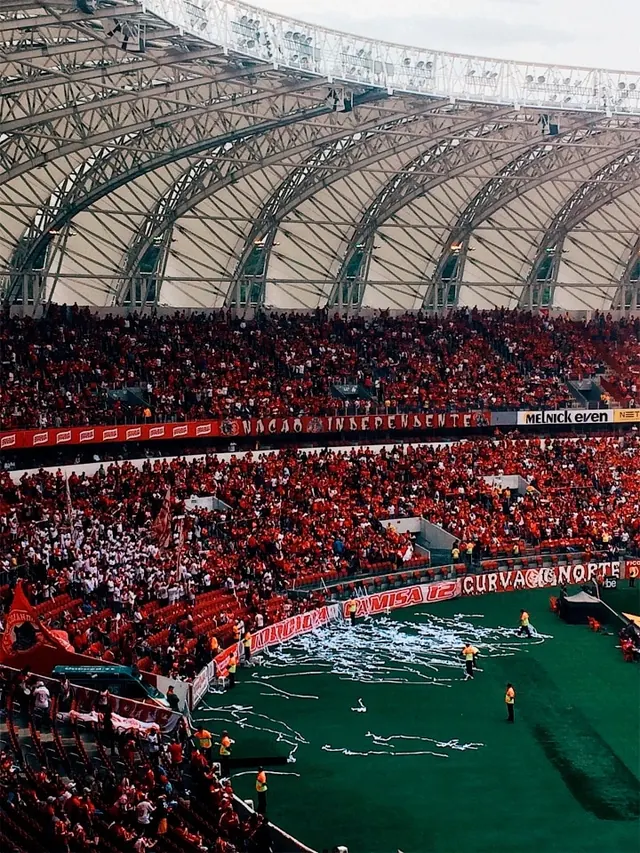 Stadium Crowd Scene