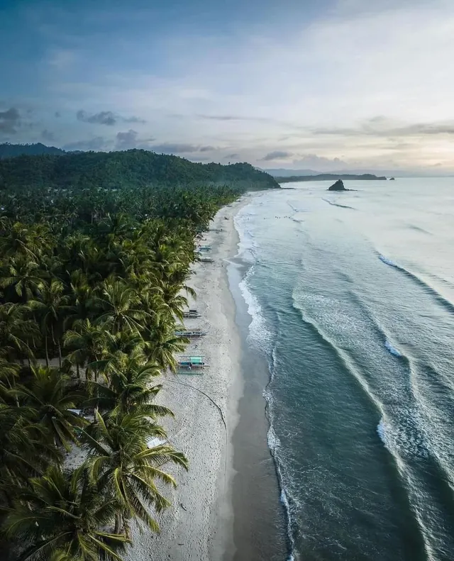 Tropical Beach Landscape