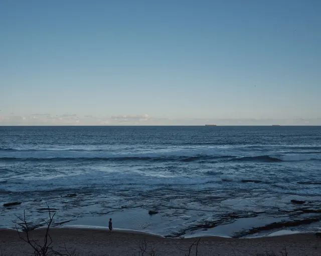 Ocean Shoreline Landscape