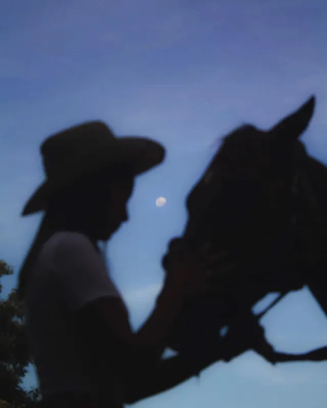 Silhouette of Person with Horse