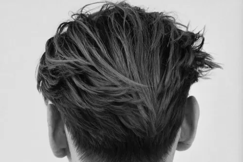 Monochrome Hair Texture Study