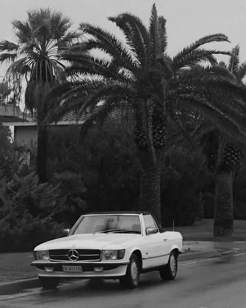Vintage Mercedes-Benz in Palm Grove