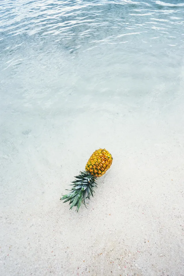 Tropical Flower on Sand