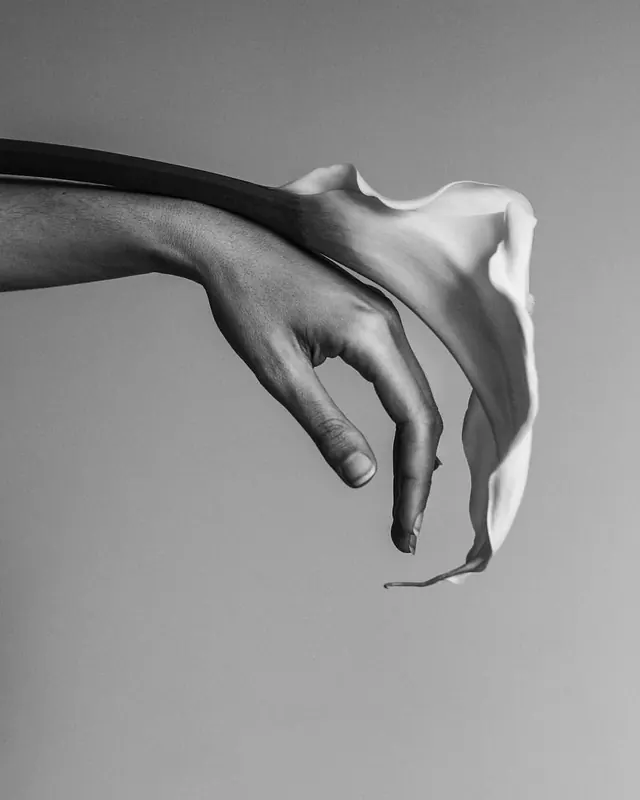 Monochrome Hand and Fabric Study