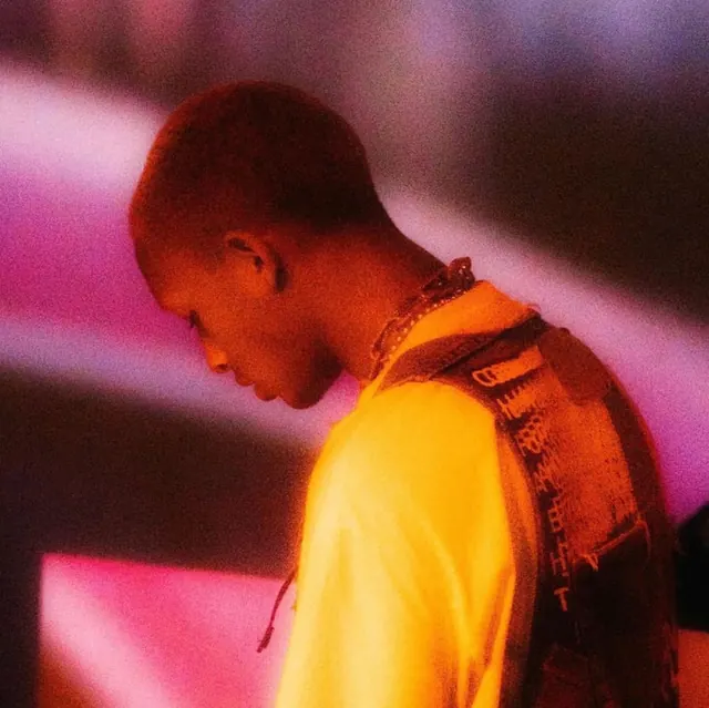 Profile of a Person in Warm Lighting
