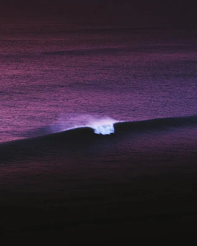 Purple Wave Landscape