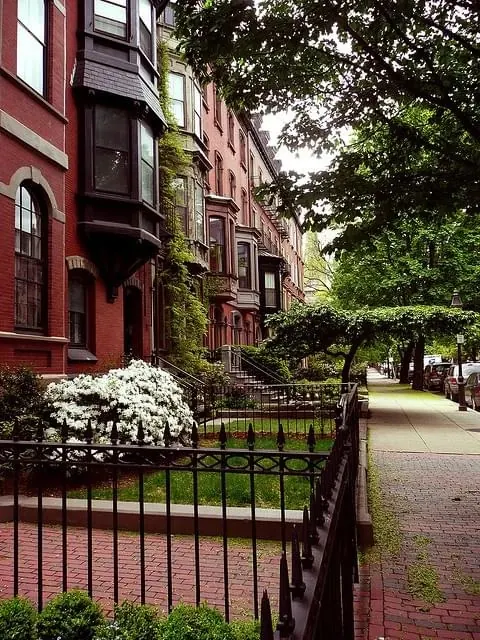 Red brick townhouses on tree-lined street, photographic, warm