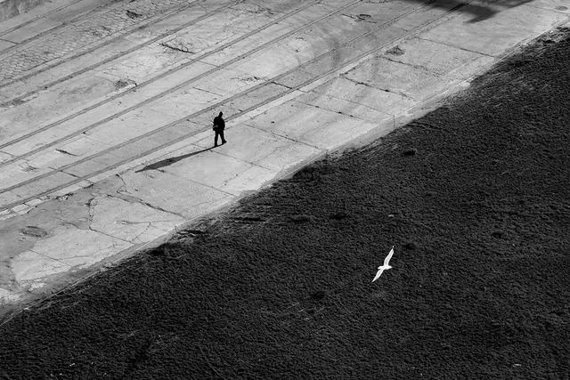 Monochrome Aerial Landscape