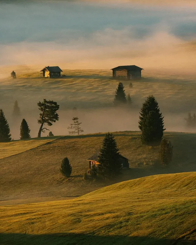 Foggy Rolling Hills Landscape