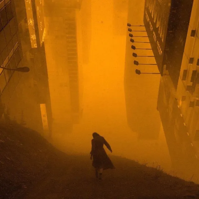 Atmospheric Urban Fog Scene