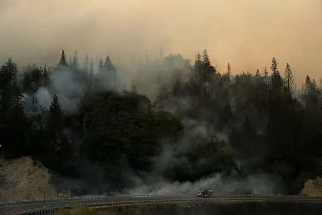 Forest Fire Smoke Landscape