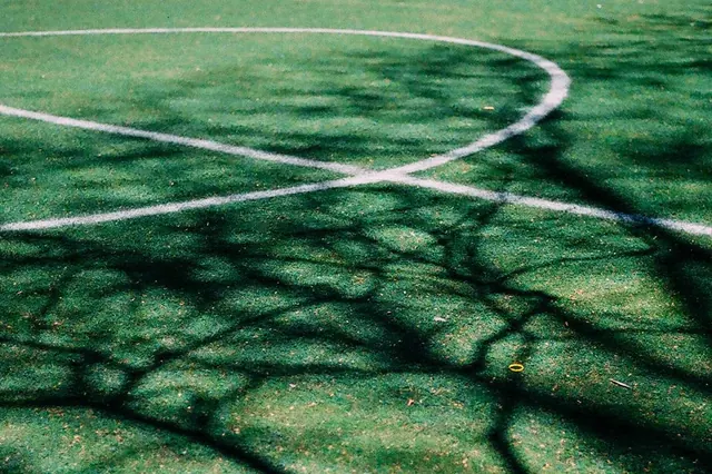 Shadowed Grass Field