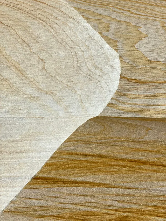 Wood Grain Texture Close-up