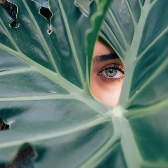 Eye through large leaf