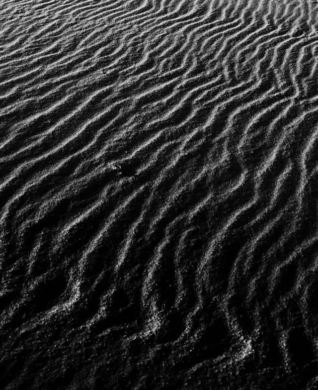 Textured Sand Ripples