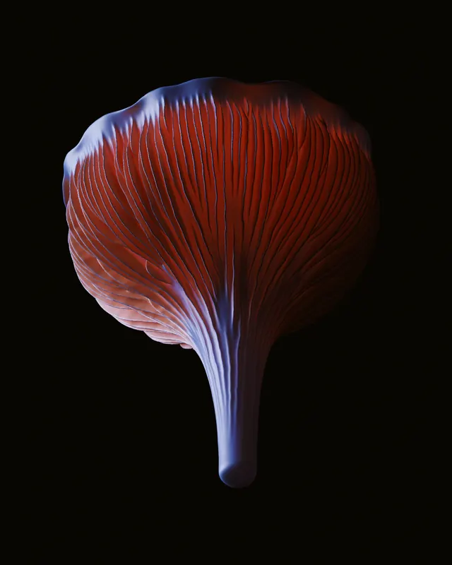 Macro Mushroom Study