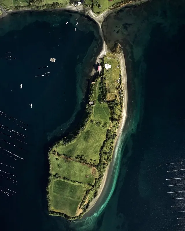 Aerial view of coastal peninsula with vegetation, photographic, dark