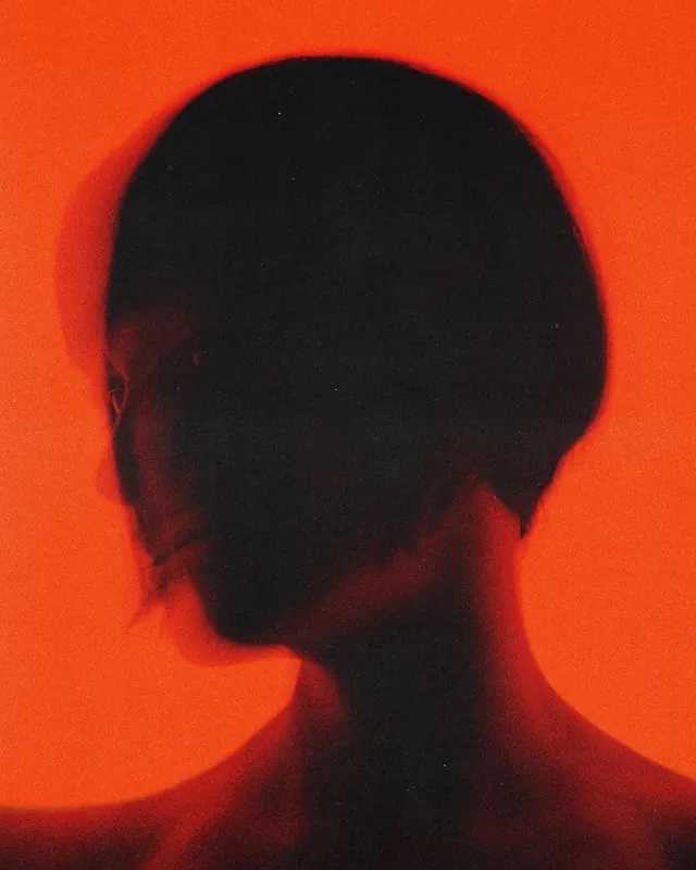 Silhouetted head portrait with orange glow, minimalist, photographic, warm