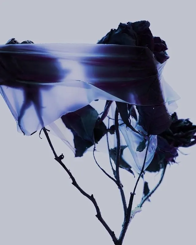 Branches with translucent silk overlay, organic, illustrated, cool